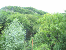 IMG_0621.jpg