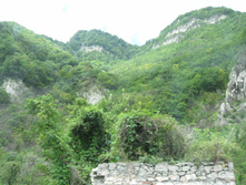 IMG_0623.jpg