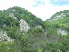 IMG_0624.jpg
