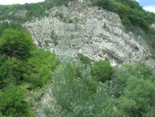 IMG_0625.jpg