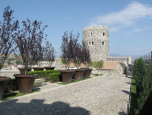 IMG_4343.JPG