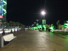 IMG_1431.jpg