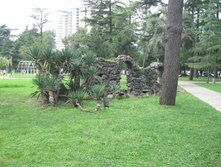 IMG_1486.jpg