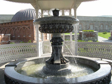 IMG_4414.JPG