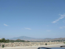 IMG_4453.JPG