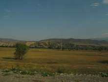 IMG_4461.JPG