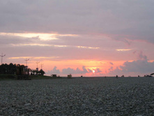 IMG_1623.jpg