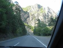 IMG_4485.JPG