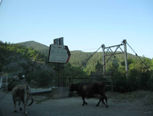 IMG_4486.JPG