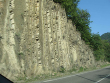 IMG_4489.JPG
