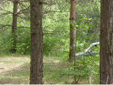 DSCN1241.JPG