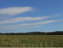 DSCN6990.jpg
