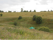 dscn71791.jpg