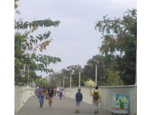 29082013623.jpg