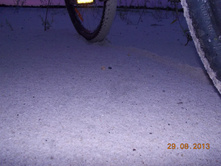 DSCN3172.JPG