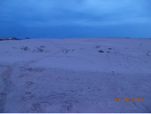 DSCN3175.JPG