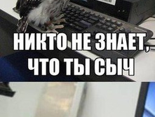 30.08.2013 11:22:07
