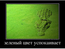 30.08.2013 13:32:11