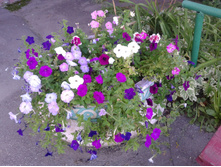 ����-0082.jpg