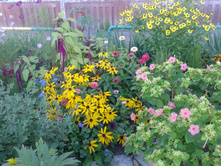 ����-0086.jpg