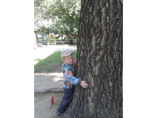 ����-0092.jpg