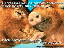 x_b1c8c013.jpg