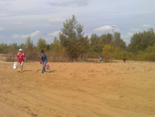 IMAG0848.jpg