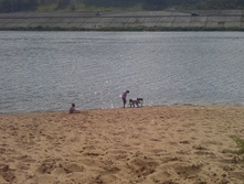 IMAG0858.jpg