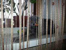 20130609_151253.jpg