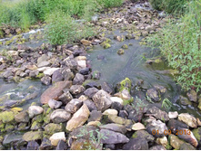 DSCN3206.JPG