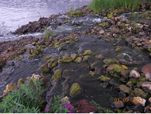 DSCN3209.JPG