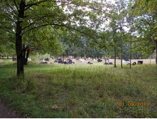 DSCN3213.JPG