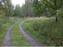DSCN3216.JPG