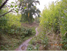 DSCN3220.JPG