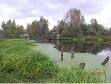 DSCN3235.JPG