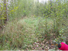DSCN3240.JPG