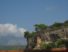 IMG_3447.JPG