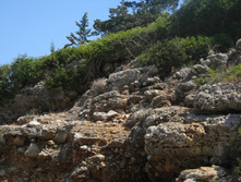 IMG_3505.JPG