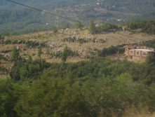 IMG_3602.JPG