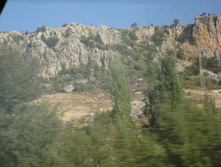 IMG_3606.JPG
