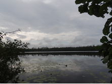 DSCN1516.JPG