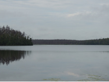 DSCN1517.JPG