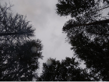 DSCN1549.JPG