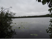 DSCN1558.JPG