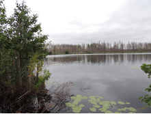 DSCN1582.JPG