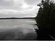 DSCN1595.JPG