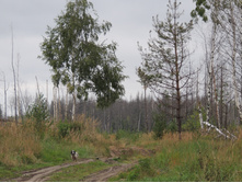 DSCN1606.JPG