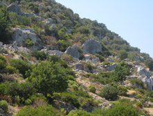 IMG_3663.JPG