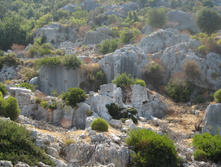 IMG_3665.JPG