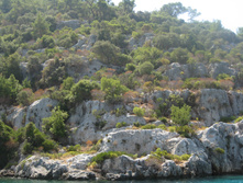 IMG_3673.JPG